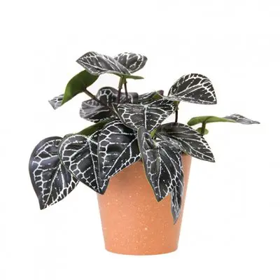 PLANTA CON MACETA PLASTICA 18CM - LIGUEN ILUMINACION