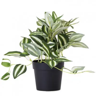 PLANTA CON MACETA PLASTICA 20CM - LIGUEN ILUMINACION