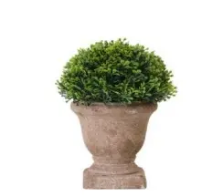 PLANTA TAPIARIO CON MACETA 15CM - LIGUEN ILUMINACION