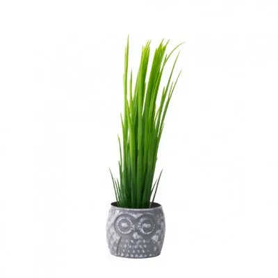 PLANTA CON MACETA 27CM - LIGUEN ILUMINACION
